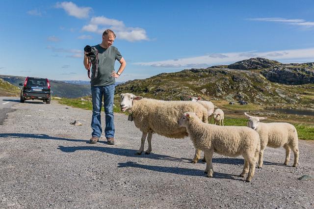 004 Hardangervidda NP.jpg